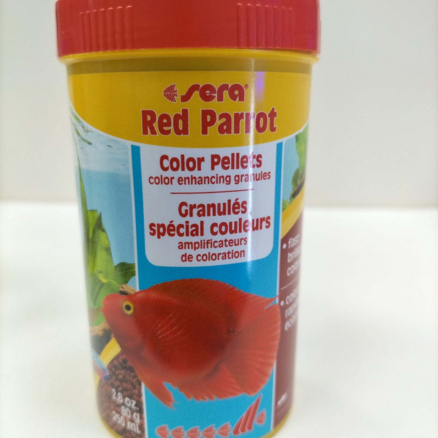 SERA RED PARROT
