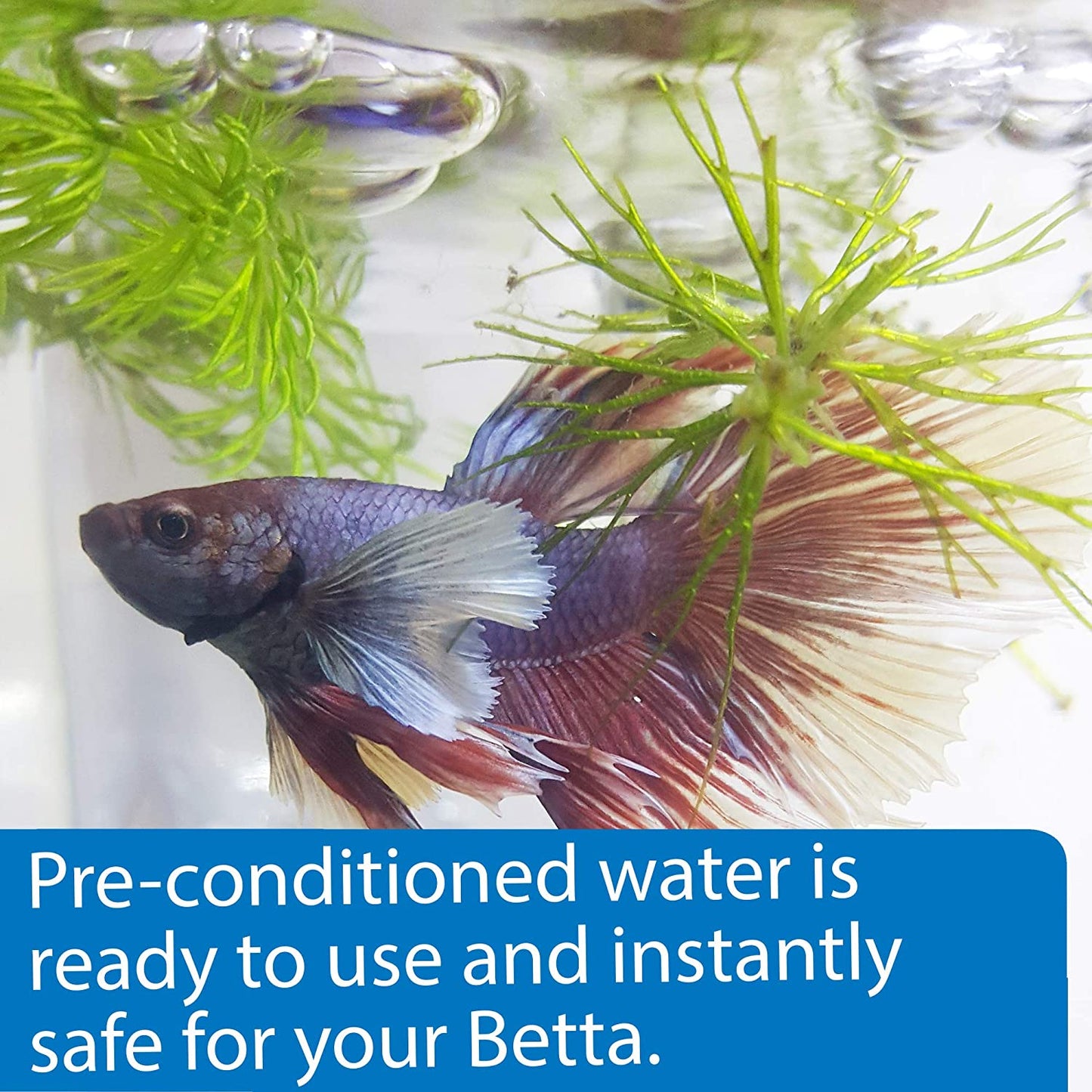 API BETTA WATER CARE 976.7ML