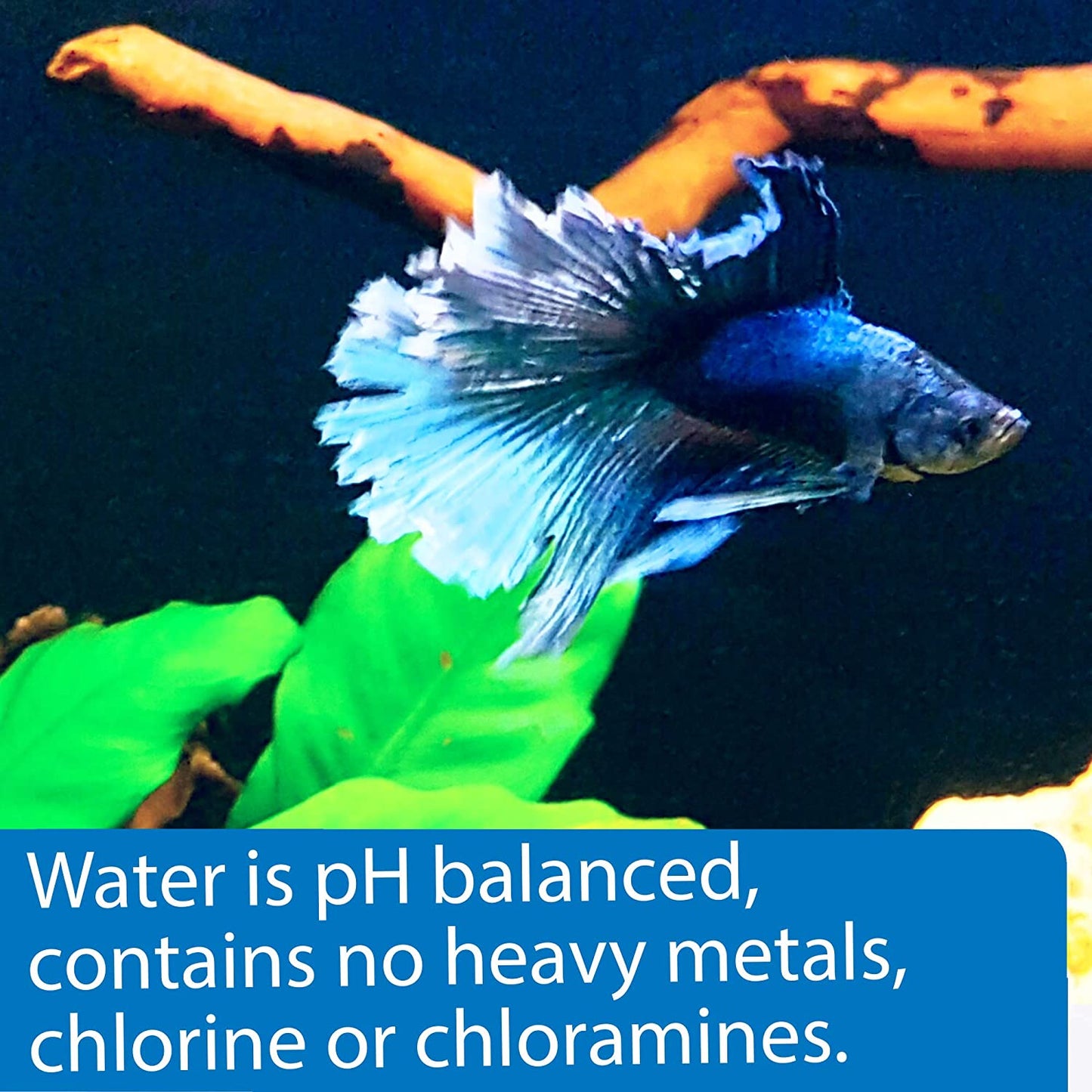 API BETTA WATER CARE 976.7ML