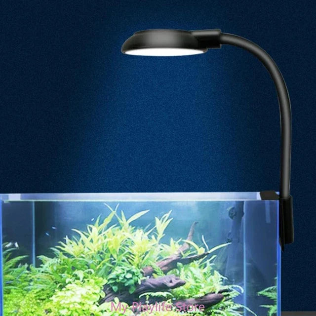 AQUA BLUE DEE-Q5 LED LIGHT