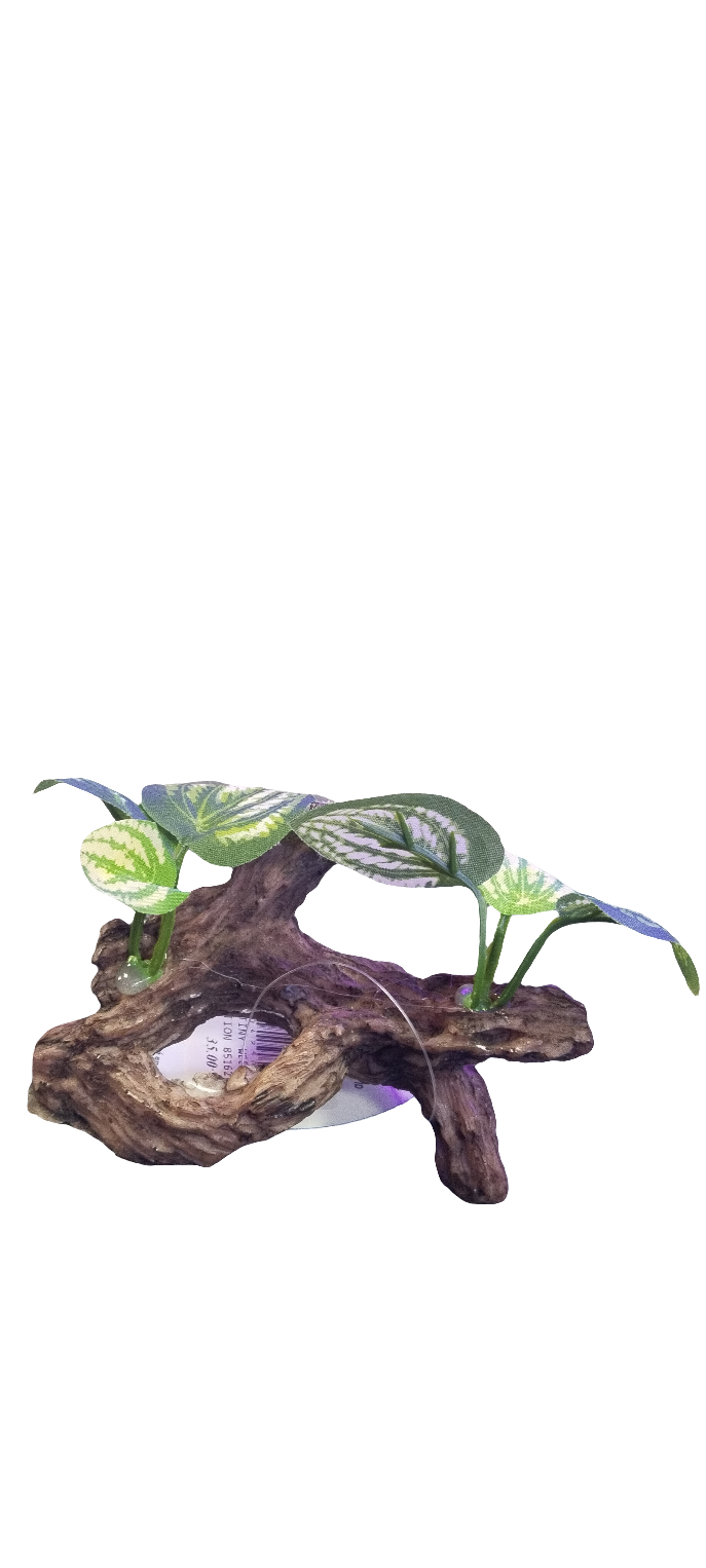 YUSEE AQUARIUM DECORATION'S