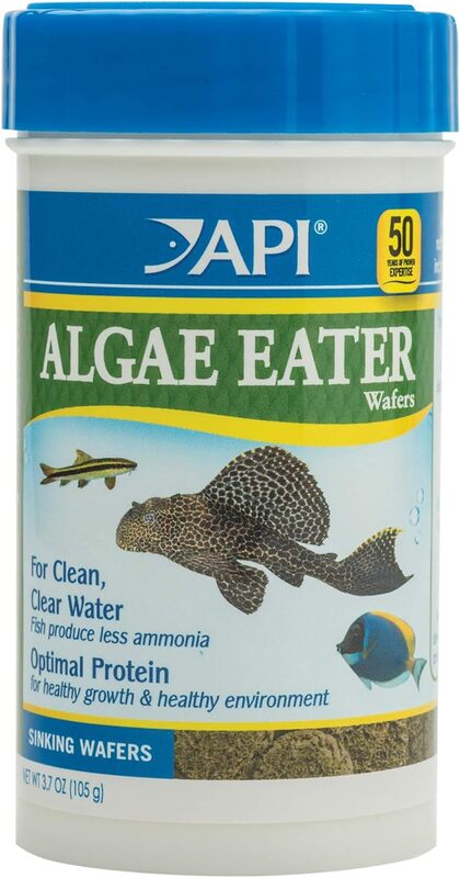 API ALGAE RATHER WAFERS CATFISH FOOD 105G