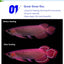 OCEAN FREE AROWANA PELLETS 250G