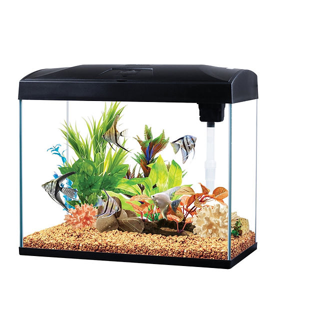 AA BASIC TANK