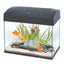 AA BASIC TANK