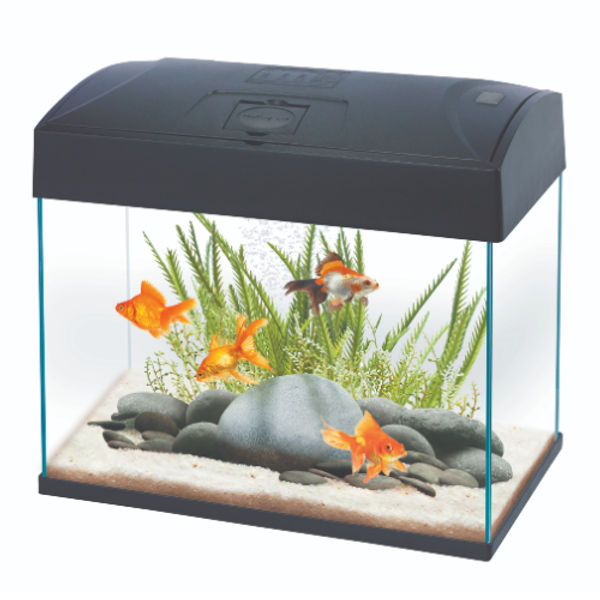 AA BASIC TANK