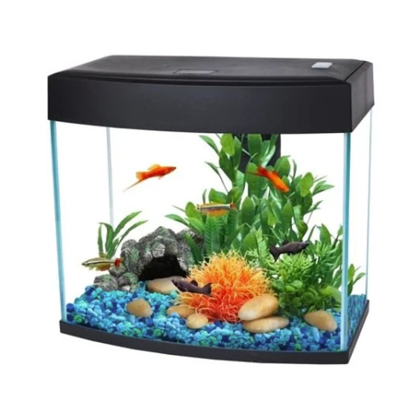 AA BASIC TANK