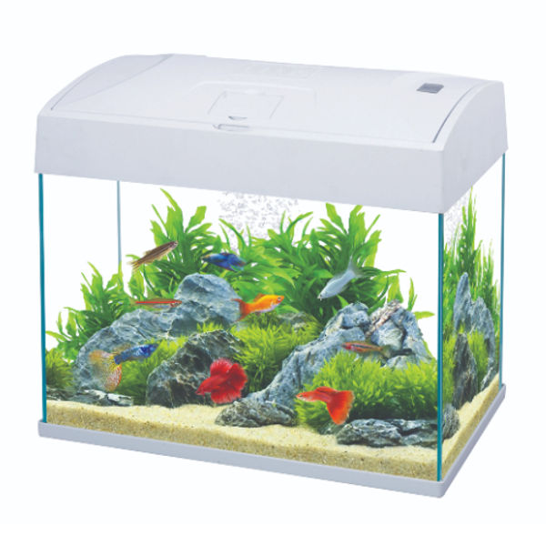 AA BASIC TANK
