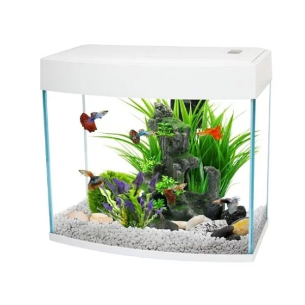AA BASIC TANK