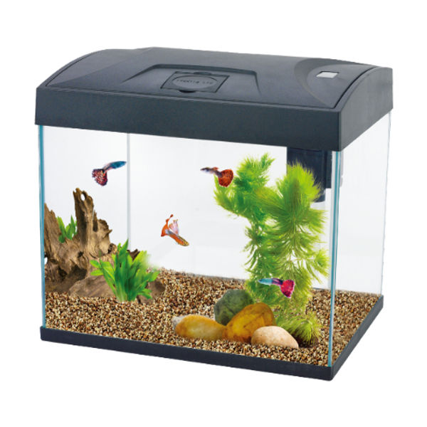 AA BASIC TANK