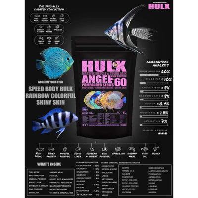 HULX MADDIVE MUSCLE& COLOR GAIN ANGEL DISCUS 100G