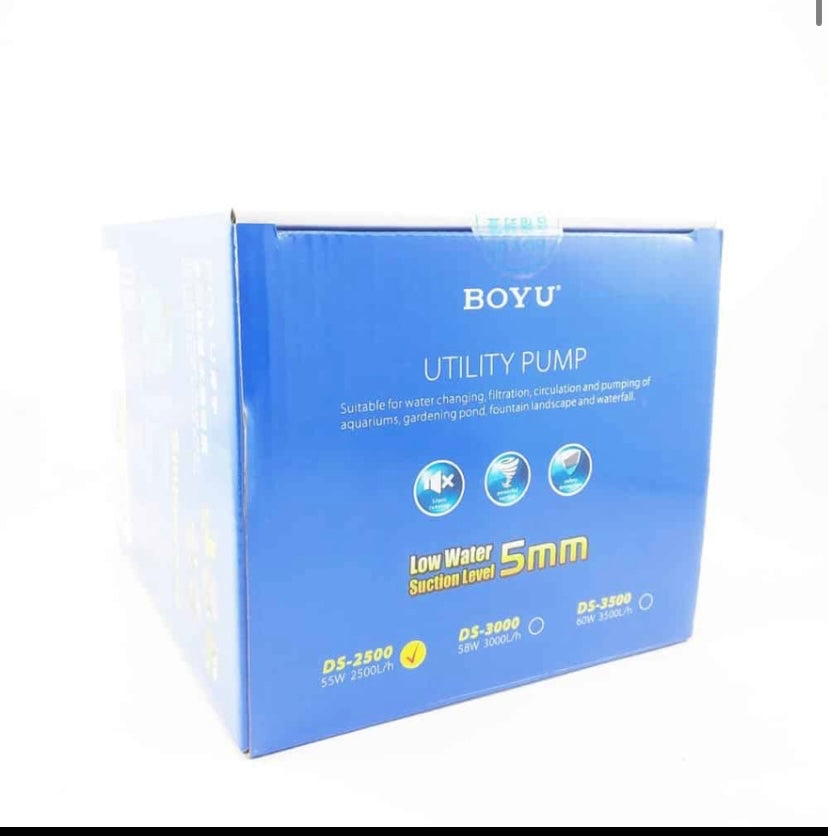 BOYU UTILITY PUMP DS-2500