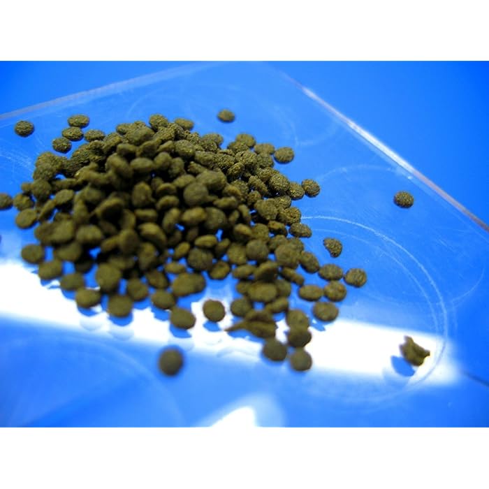 ISTA SHRIMP FOOD 20G