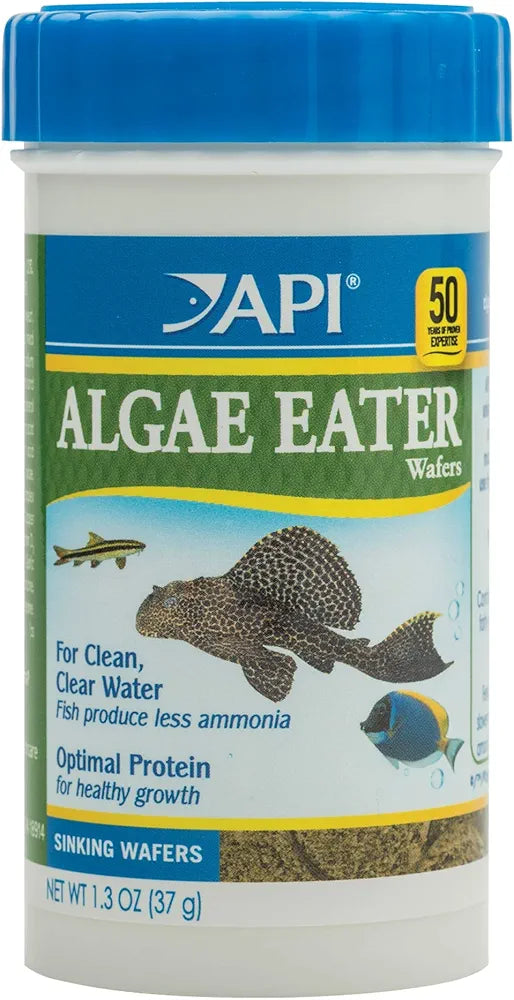 API ALGAE RATHER WAFERS CATFISH FOOD 37G