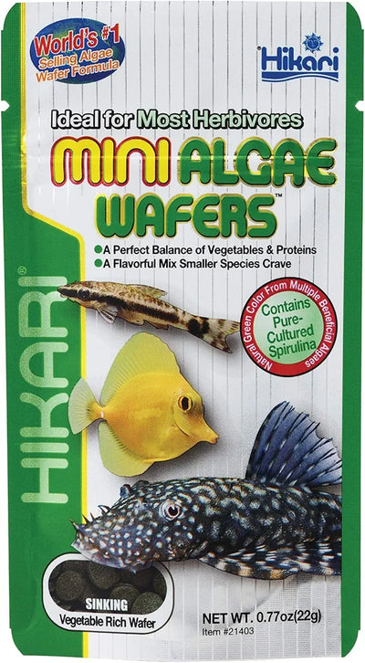 HIKARI MINI ALGAE WAFERS 22g