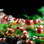CRYSTAL SHRIMPS 1.5cm