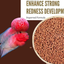 EVER RED FLOWER HORN FISH FOOD 280ML
