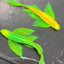 Zebra LongFin Glow 3cm