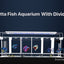 BETTA FISH TANK