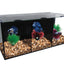 BETTA FISH TANK