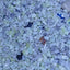 NATURAL STONE 1KG