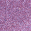RED IMPERIAL SAND 1KG