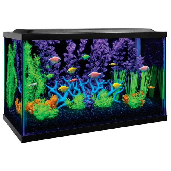 AQUARIUM COMPLETE SET