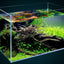 CRYSTAL TANK 50cm to 30cm