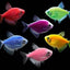 GERMAN TETRA 2.5-4CM