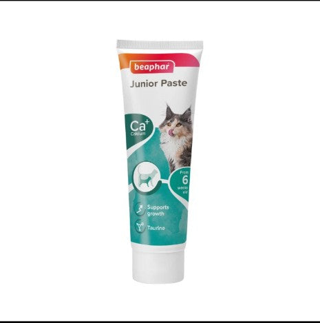 BEAPHAR JUNIOR PASTE FOR CAT 100G
