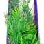 YUSEE PLASTIC PLANT FOR AQUARIUM