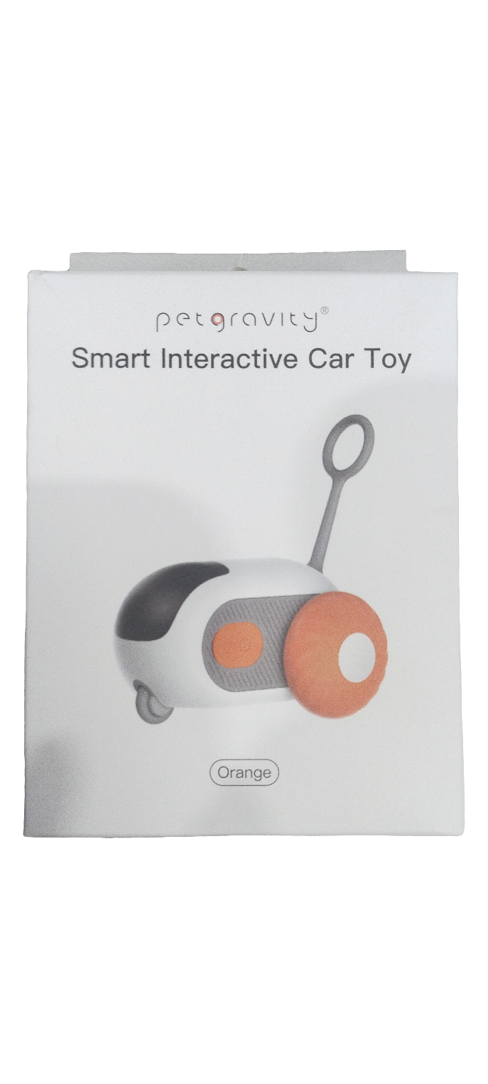 SMART INTERACTIVE CAR TOY