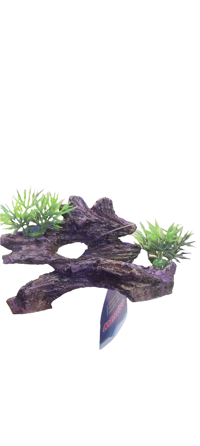 YUSEE AQUARIUM DECORATION'S