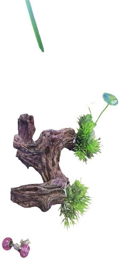 KARIS AQUARIUM DECORATION