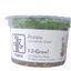 TROPICA ROTALA ROTUNDIFOLIA GREEN
