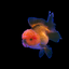 ORANDA Fish mix 8cm