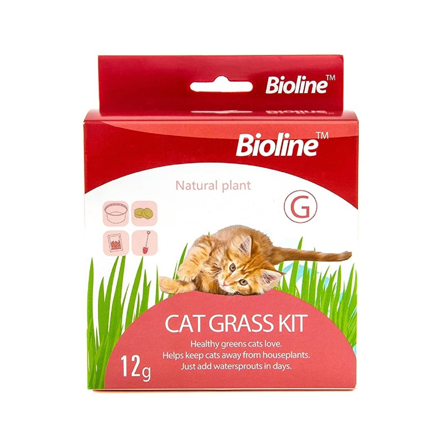 BIOLINE CAT GRASS KIT 12G