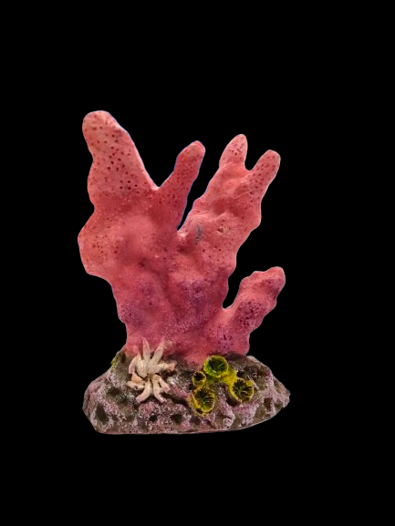 AQUARIUM DECORATION