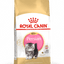 ROYAL CANIN PERSIAN  KITTEN  2KG