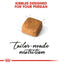 ROYAL CANIN PERSIAN  KITTEN  2KG