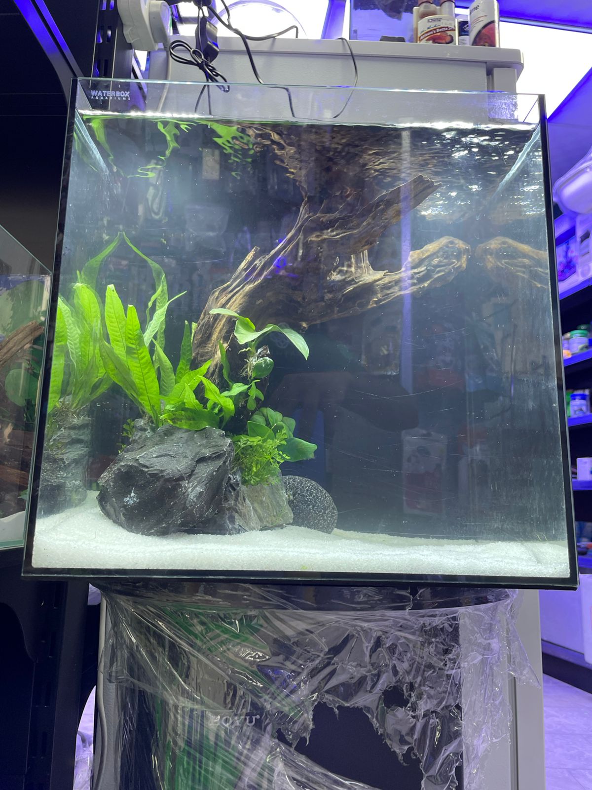 Aquarium with setup.size35x35x35 . 6mm crystal clear glass with back filter.