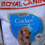 ROYAL CANIN COCKER PUPPY 3KG
